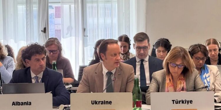 ОБСЄ задокументувала гуманітарну катастрофу в окупованих Олешках – Сибіга
