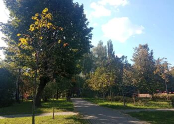 До 24° і туман вранці: якою буде погода в Україні 8 жовтня
