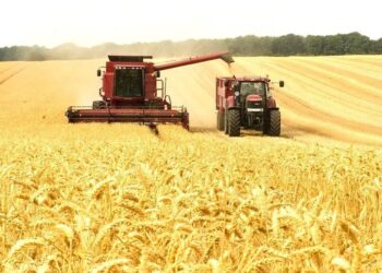 В Україні обмолотили 72% прогнозованих площ зернових: які області лідирують