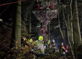 У Німеччині 70 рятувальників знімали з дерева п’яного чоловіка, який не зміг спуститися після вечірки