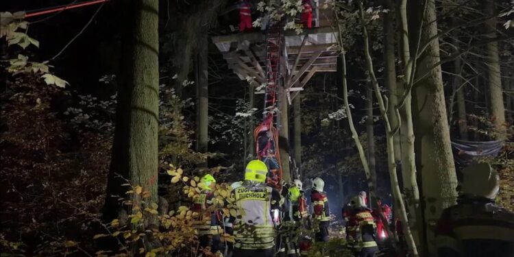 У Німеччині 70 рятувальників знімали з дерева п’яного чоловіка, який не зміг спуститися після вечірки