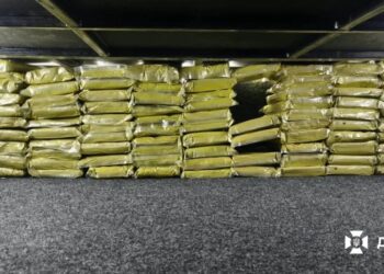 В Україну намагались переправити понад 650 кг кратому – що це за речовина і чим небезпечна