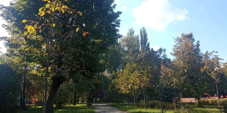 Погода 1 жовтня: де в Україні очікуються дощі та сильний вітер