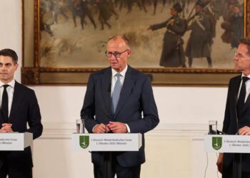 росія підтримує АдН з метою послабити допомогу Україні – Мерц