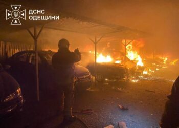 На Одещині через атаку рф пошкодило притулок для тварин, загинула собака