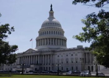 "Або Трамп бреше, або Маск": у Конгресі США вимагають з'ясувати, хто обмежив Starlink для України