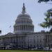 "Або Трамп бреше, або Маск": у Конгресі США вимагають з'ясувати, хто обмежив Starlink для України