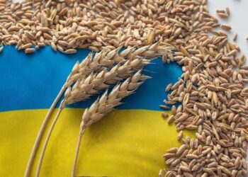 Польща та Румунія відмовилися збільшувати транзит зерна з України – ЗМІ