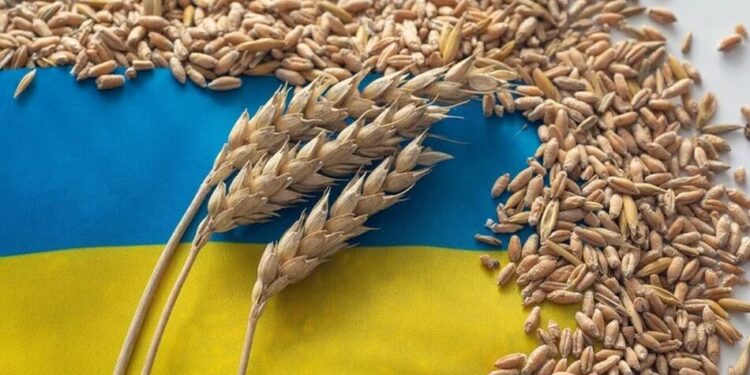 Польща та Румунія відмовилися збільшувати транзит зерна з України – ЗМІ