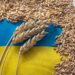 Польща та Румунія відмовилися збільшувати транзит зерна з України – ЗМІ