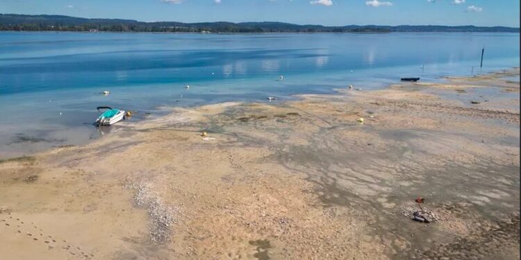 У Німеччині на Боденському озері через низький рівень води призупинили поромне сполучення